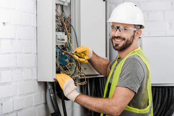 Best Electric Panel Repair  in Silver Creek, NY